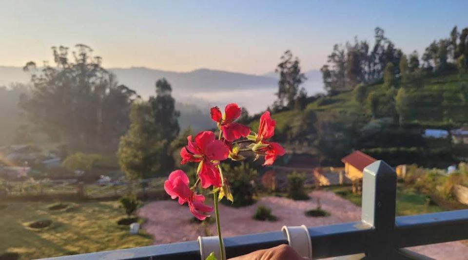 Orchard Valley View Ooty Luaran gambar